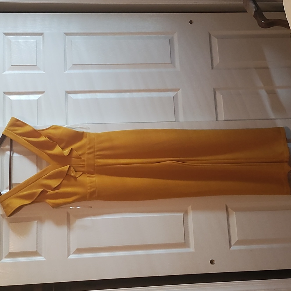 Bar lll Sleeveless Ruffled Bodice Jumpsuit Size 6 Orange/ Pumpkin Color